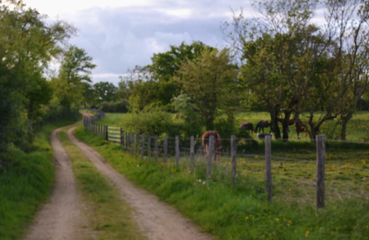Gite Au Haras Les Aubiers Zewnętrze zdjęcie